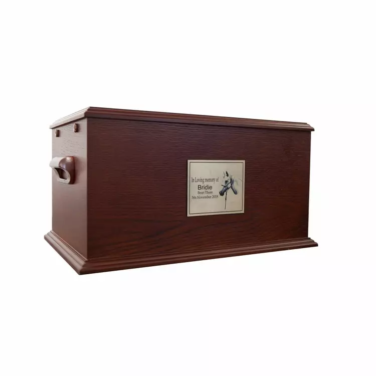 Horse top cremation box